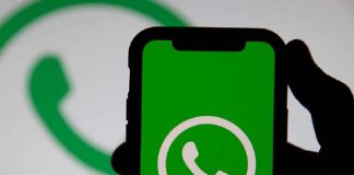 WhatsApp desenvolve chat oficial do app