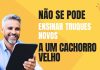 Reinvente-se: Descubra como Pessoas na Faixa dos 40 aos 50 Anos estão Transformando suas Vidas e Alcançando o Sucesso!
