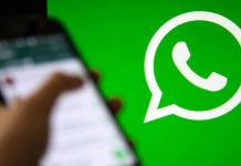 Usaram sua foto e número? Saiba denunciar golpes no WhatsApp… Usaram sua foto e número? Saiba denunciar golpes no WhatsApp