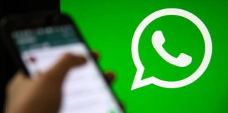 Usaram sua foto e número? Saiba denunciar golpes no WhatsApp… Usaram sua foto e número? Saiba denunciar golpes no WhatsApp