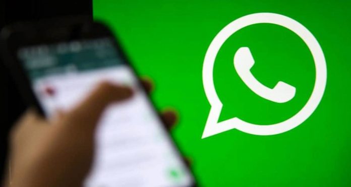 Usaram sua foto e número? Saiba denunciar golpes no WhatsApp