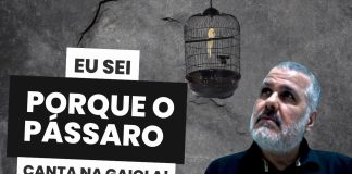 Como Sair da Corrida dos Ratos e Construir Seu Império com Educação Financeira e Conhecimento Vivemos em um mundo onde a informação é a nova riqueza. Hoje, quem domina o conhecimento pode não apenas escapar da chamada "corrida dos ratos", mas também construir um império de sucesso.
