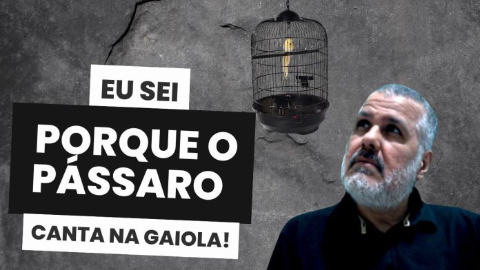 Eu sei por que o pássaro canta na gaiola! Vivemos em um mundo onde a informação é a nova riqueza. Hoje, quem domina o conhecimento pode não apenas escapar da chamada "corrida dos ratos", mas também construir um império de sucesso.