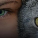 Administrando sua Conta no YouTube