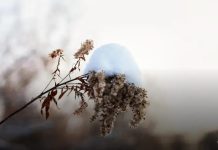 Como otimizar meu site e aumentar sua visibilidade hoje Como otimizar meu site e aumentar sua visibilidade hoje