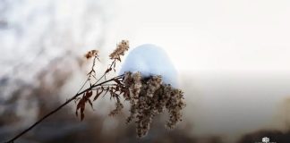 Como otimizar meu site e aumentar sua visibilidade hoje Como otimizar meu site e aumentar sua visibilidade hoje