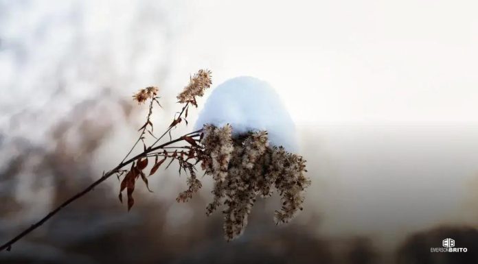 Como otimizar meu site e aumentar sua visibilidade hoje Como otimizar meu site e aumentar sua visibilidade hoje