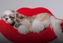 Stories para Facebook: 7 Dicas para Criar Stories Incríveis Exemplos de Stories de sucesso no Facebook