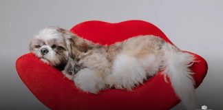 Stories para Facebook: 7 Dicas para Criar Stories Incríveis Exemplos de Stories de sucesso no Facebook