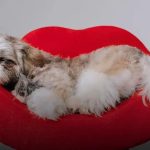 Ferramentas úteis para monitorar seu progresso